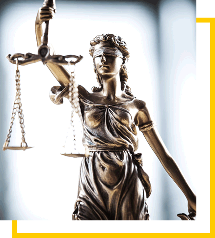 Nós queremos ajudar você a lutar pelos seus direitos! Nós queremos ajudar você a lutar pelos seus direitos!